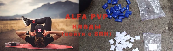 ГАЛЛЮЦИНОГЕННЫЕ ГРИБЫ Арсеньев