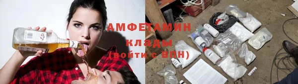 ПСИЛОЦИБИНОВЫЕ ГРИБЫ Аркадак