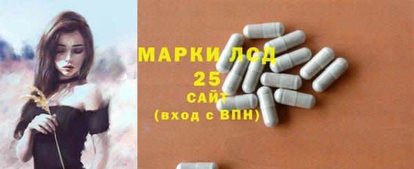 ГАЛЛЮЦИНОГЕННЫЕ ГРИБЫ Арсеньев